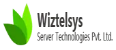 Wiztelsys Server Technologies Private Limited logo