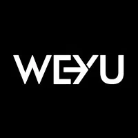 Weyu Dataprocessing Private Limited logo