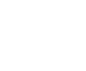 Yamini Films Private Limited logo