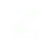 Zevfy Logistics Private Limited logo