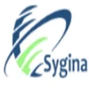 Sygina Data Systems Private Limited logo