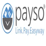 Payso Fintech Private Limited logo