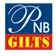 Pnb Gilts Limited logo