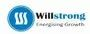 Willstrong Solutions Private Limited logo