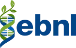 Emmessar Biotech And Nutrition Ltd logo