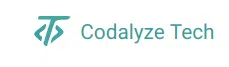 Codalyze Technologies Private Limited logo