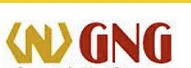 Gng Technologies Limited logo