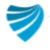 Visdum Tech Private Limited logo