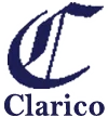 Clarico Financial & Advisory Services Private Limited logo