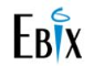 Ebix Educomp Learning Private Limited logo