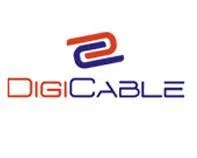 Digi New Era Network Private Limited logo
