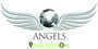 Angels Innovation Private Limited logo