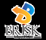 Brisk Infonet Private Limited logo