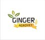 Ginger Agrovet Private Limited logo