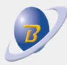 Bloom Technologies Private Limited logo