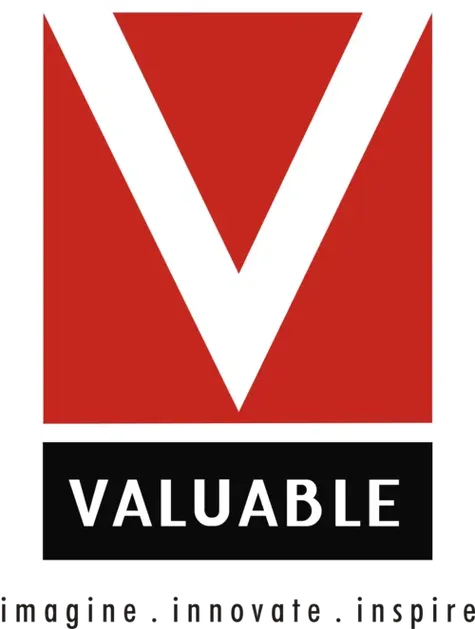Valuable Infrastructure Private Limited logo