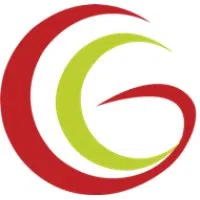 Gemini Geeks Technologies Private Limited logo