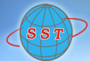 S.S. Tools (India) Private Limited logo