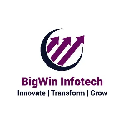 Bigwin Infotech Private Limited logo