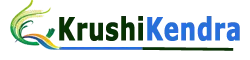 Vinushka Solutions Private Limited logo