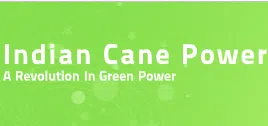 Indian Cane Power Limited logo