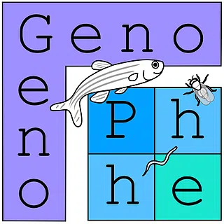 Genophe Biotech Private Limited logo