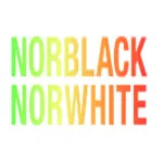 Nor Black Nor White Private Limited logo