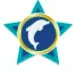 Starfish Exports International Private Limited logo