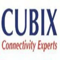 Cubix Micro Systems India Private Limited logo