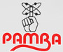 Pamba Electronic System Pvt Ltd logo