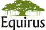 Equirus Investment Managers Llp logo