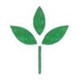 Panasia Herbal Private Limited logo