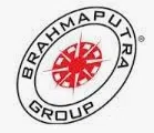 Brahmaputra Infrastructure Limited logo