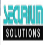 Securium Solutions Private Limited logo