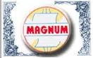 Magnum Ventures Limited. logo