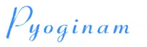 Pyoginam Private Limited logo