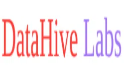 Datahive Labs Private Limited logo