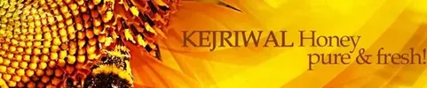 Kejriwal Bee Care India Private Limited logo