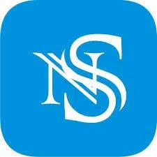 Naysaa Securities Limited logo