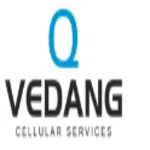 Vedang Cellular Services Private Limited logo
