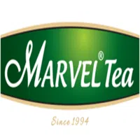 Marvel India Private Limited logo