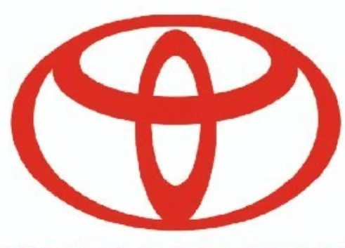 Infinium Motors Private Limited logo