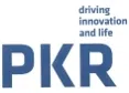 Pkr Energy Limited logo