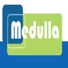 Medulla Communications Private Limited logo