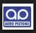 Aero Pistons Private Limited logo