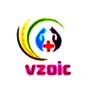 Vzoic Healthcare Private Limited logo