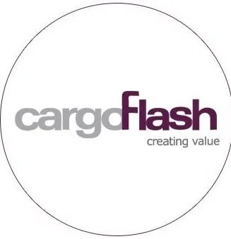 Cargo Flash Infotech Private Limited logo