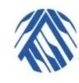 Anaadih Vincom Private Limited logo