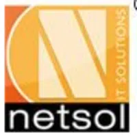 Netsol It Solutions Private Limited logo