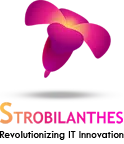 STROBILANTHES TECHNOLOGY SOLUTIONS INDIA PRIVATE LIMITED